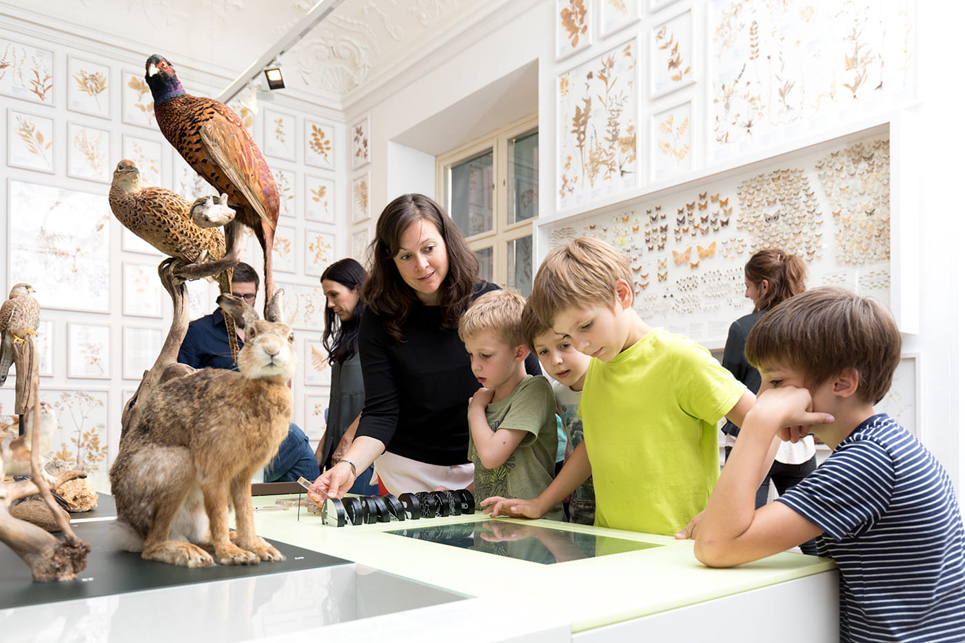 Naturkundemuseum_c_UMJ-Harry Schiffer